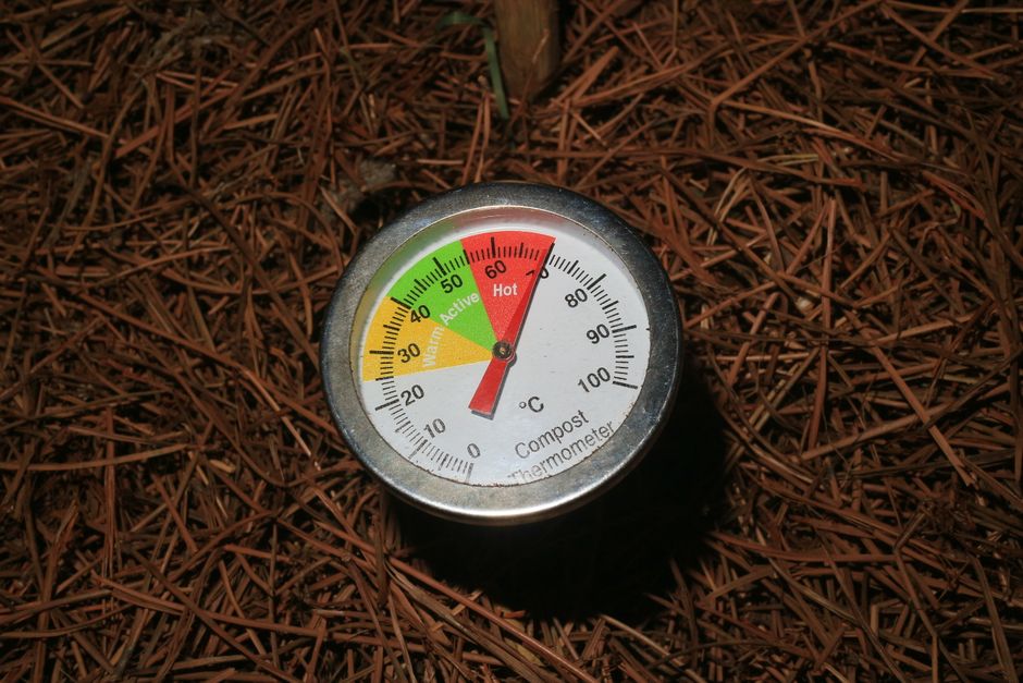 Ceai de compost aerat cu urzică (ACT): rețeta completă cu pompă de aer, melasă și dozaj