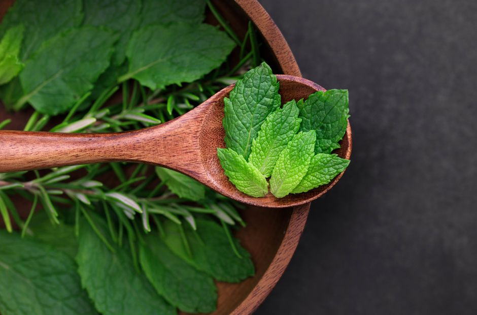 Urzica pentru detoxifierea colonului: curățare blândă