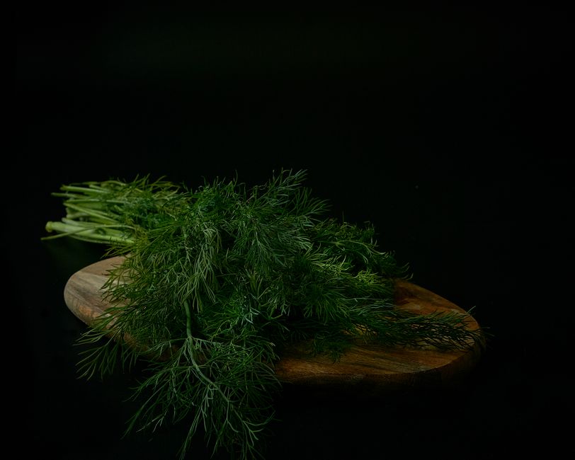 Urzica și metabolismul: sprijin pentru un organism activ