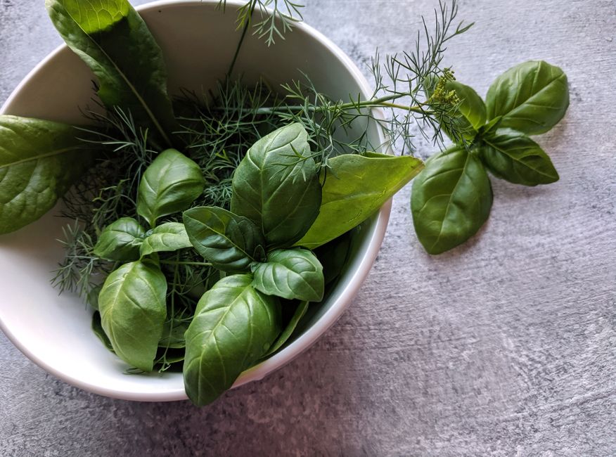 Urzica pentru slăbit: cum ajută la dietă