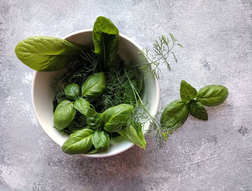 Urzica ca sursă de proteine vegane: cât aduce și cum o combini corect