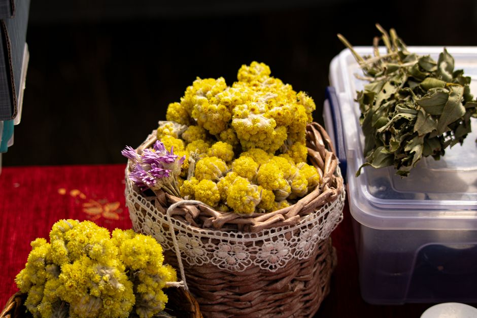 Urzica și stresul oxidativ: antioxidanții care protejează celulele